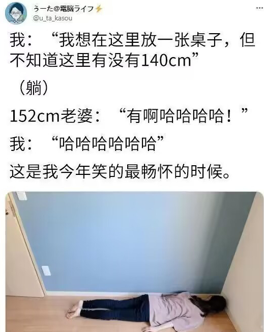 啊哈哈哈哈哈哈好棒的性格呀！真的会被笑死的吧 ​​​