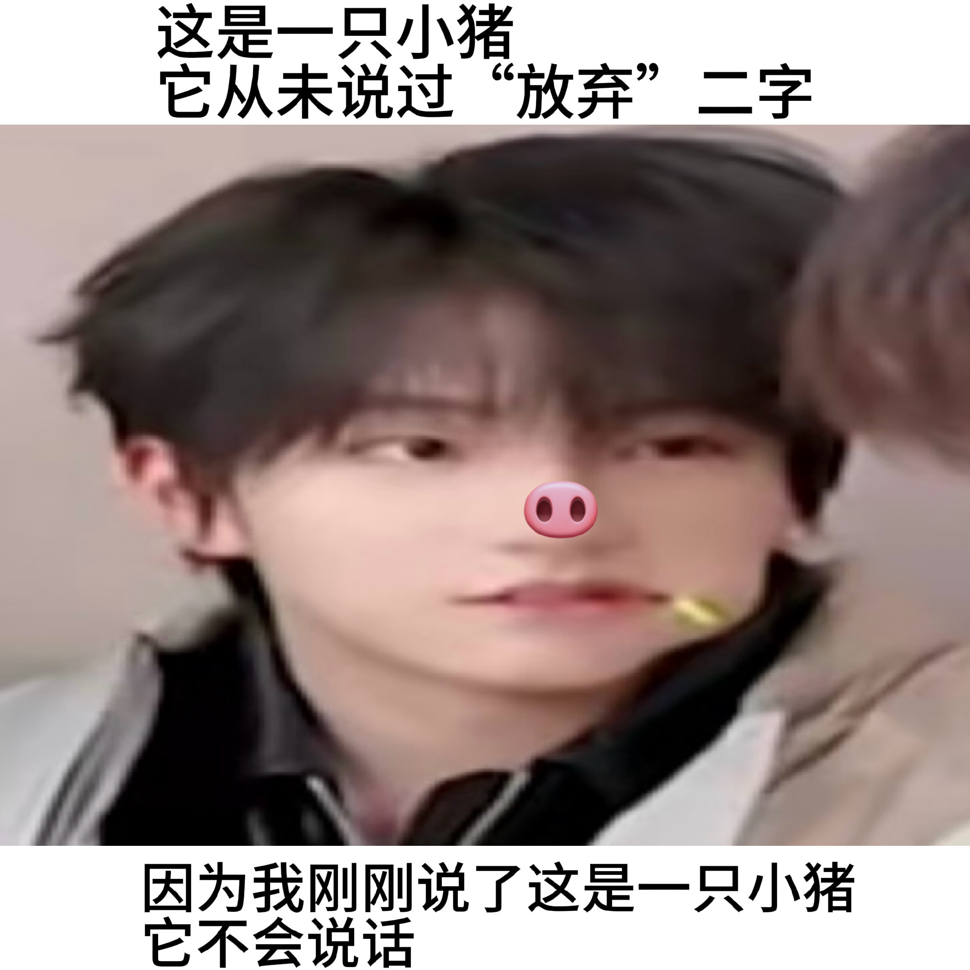 品味馒能量 