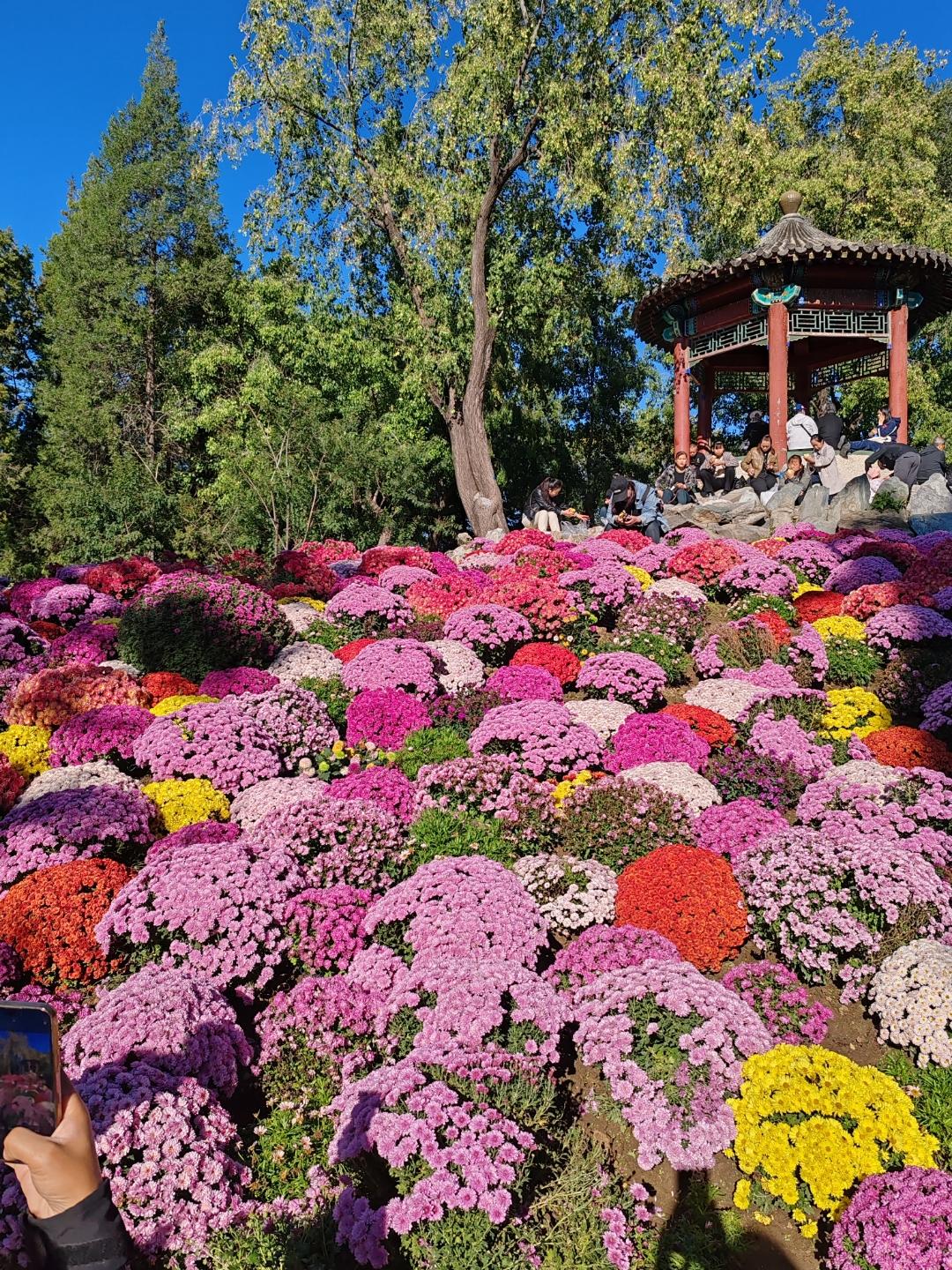 上联：园清树静花添彩，
下联：日丽风和月增辉，
下联：雅院气新柳舞姿。