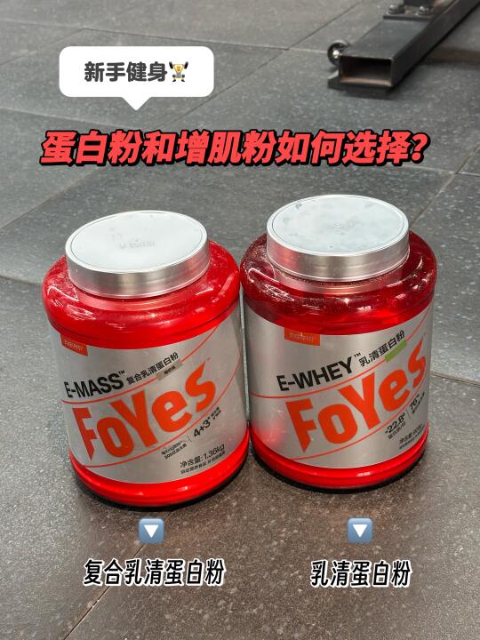 新手健身必看！蛋白粉vs增肌粉选择干货