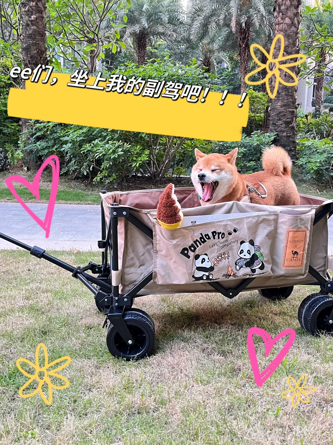 ee们，一起兜兜风吗？！