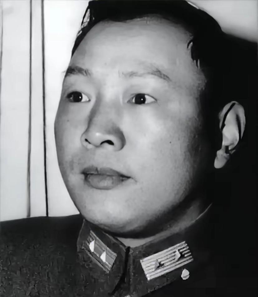 1959年，宋希濂获特赦，身无分文，举目无亲，昔年黄埔同窗已是开国大将。

19