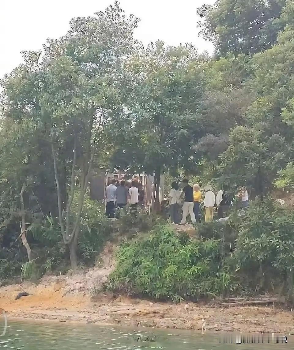 在水库放生猫原来不是第一次，在两年前就已经有人这么干过了，而且引起了大量的放生猫