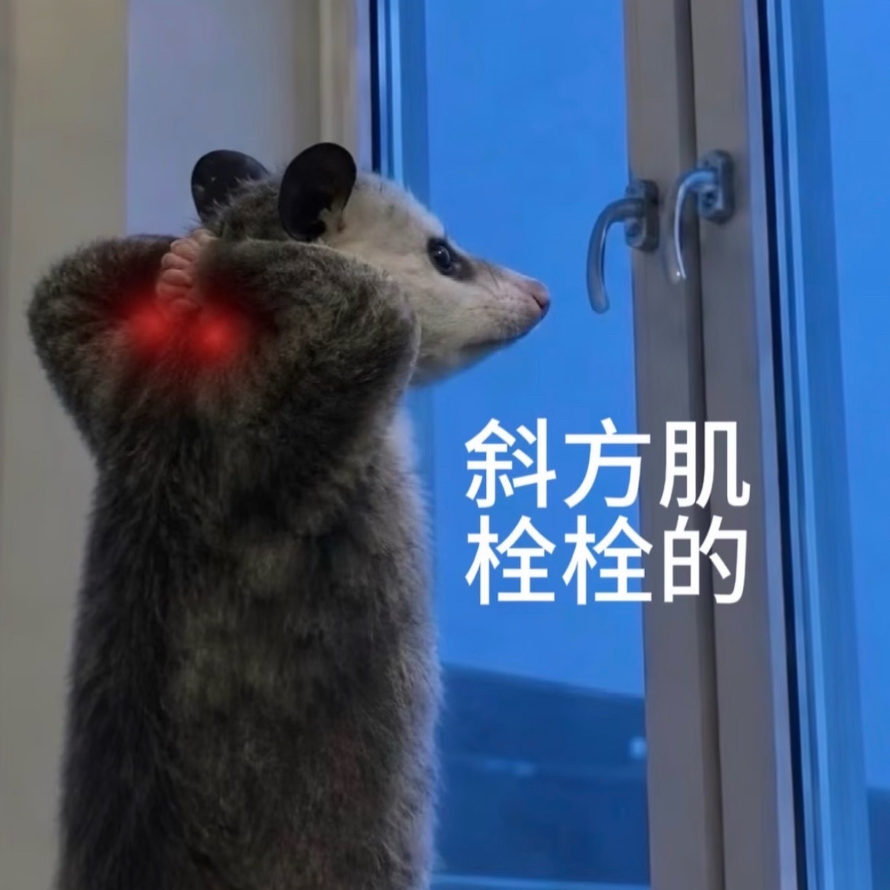 老俊你敢不敢现在突然进个组吓吓我🚬