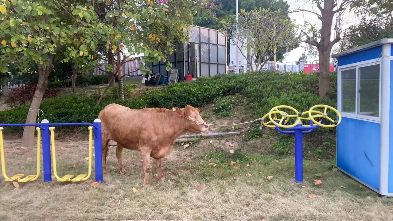 8块8就能现场观看粤BA，终极奖品出乎意料！

汕头人速看！8.8元看粤BA，赢