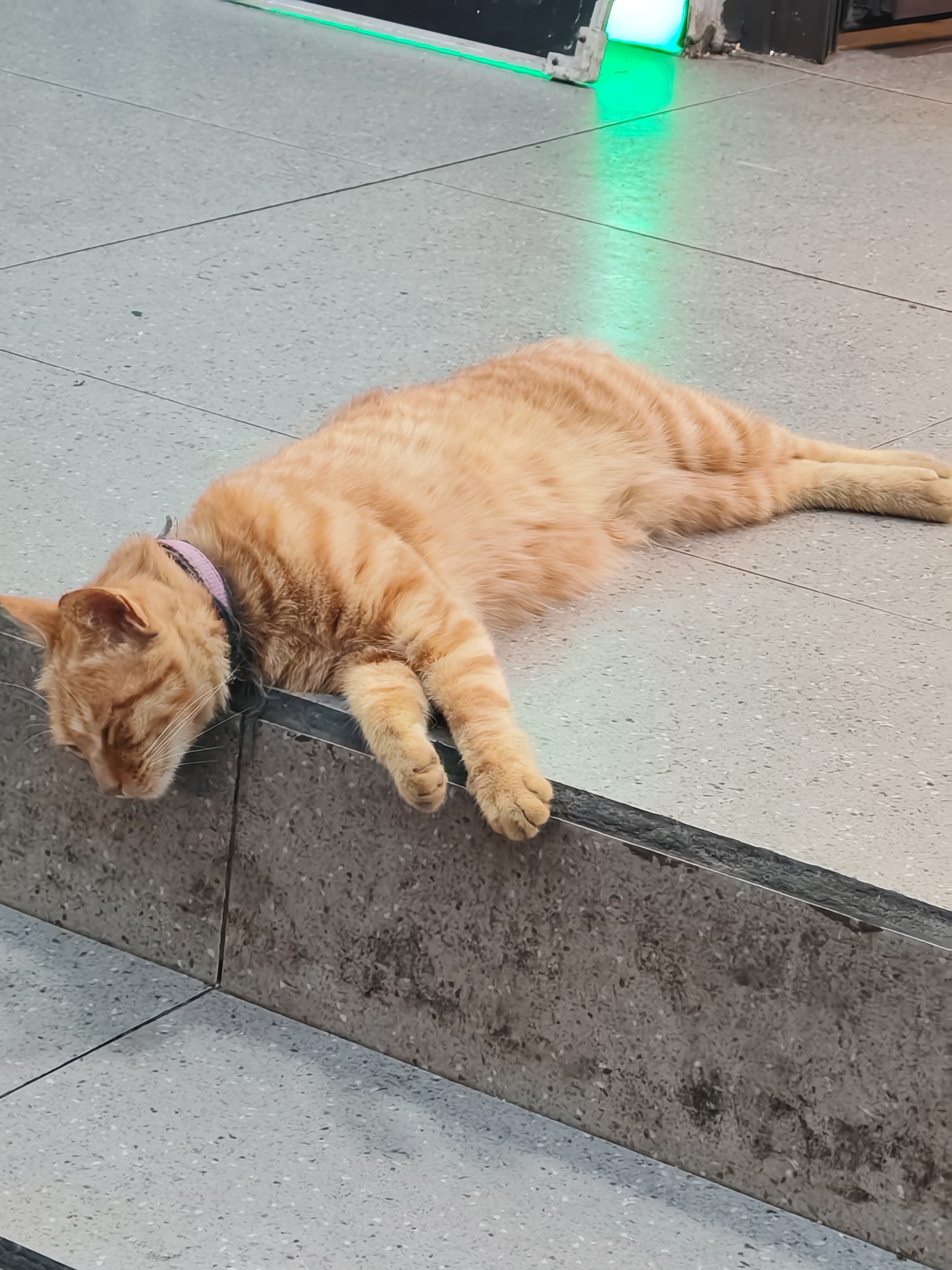 猜哥哥喜欢