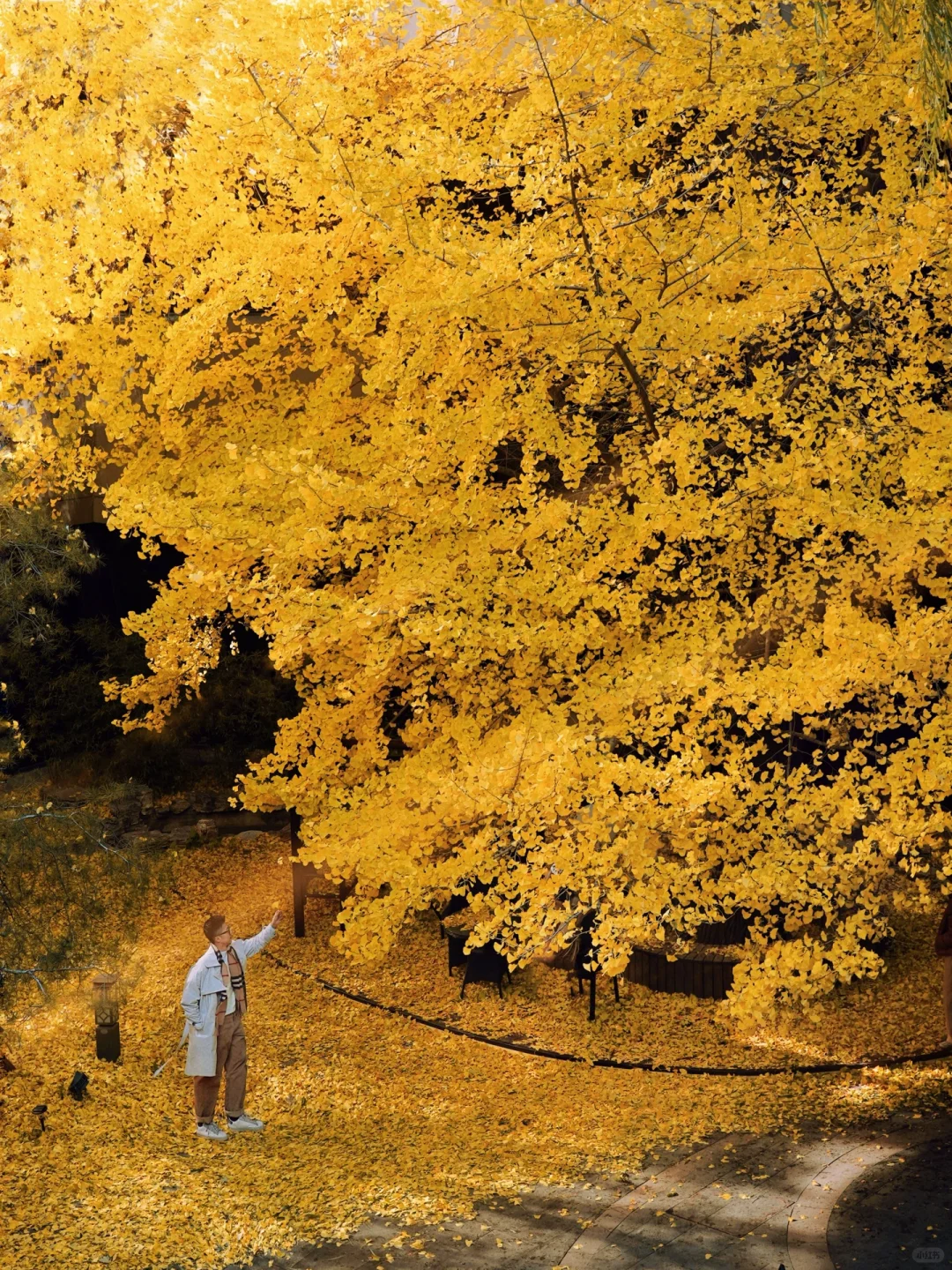 🍂为了这扇窗，值得专门来一次北京！！