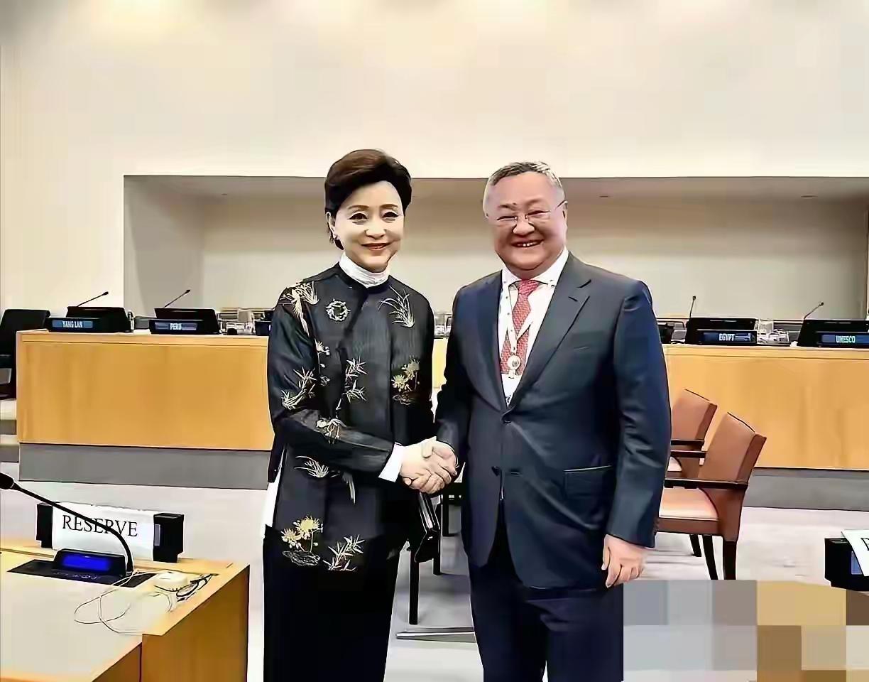 杨澜
吴征
夫妻照