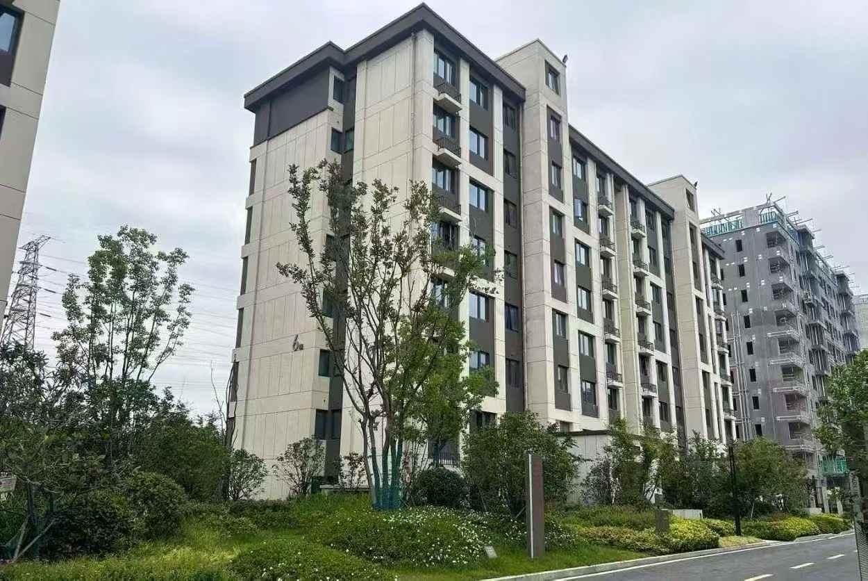 合肥市区罍街旁的回迁房现在都是建洋房了，8层的，11层的。
所以这个东西就是出生