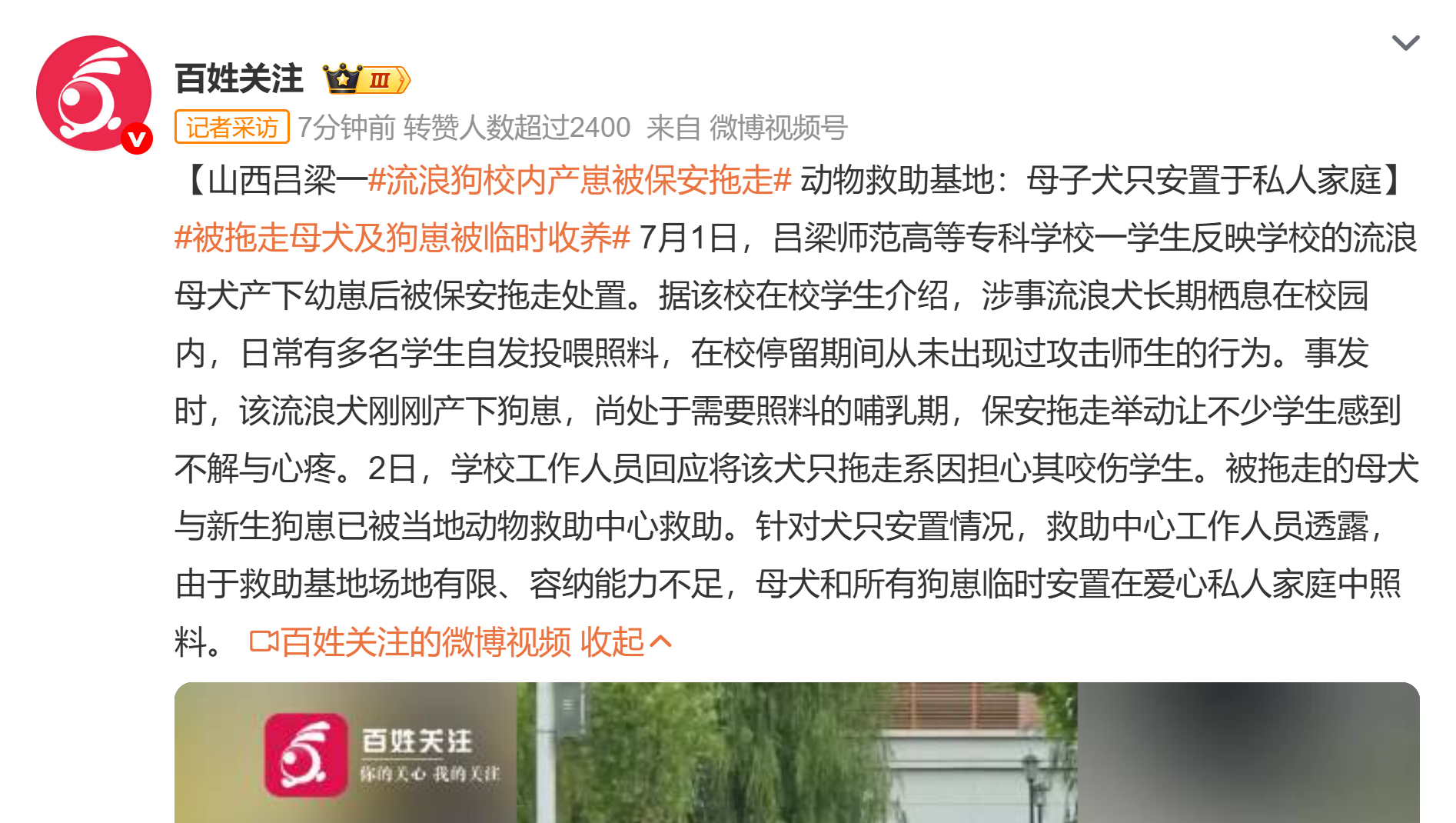 流浪狗校内产崽被保安拖走 没事，只需要把拖走幼崽的保安开除就行了。如果流浪狗后面