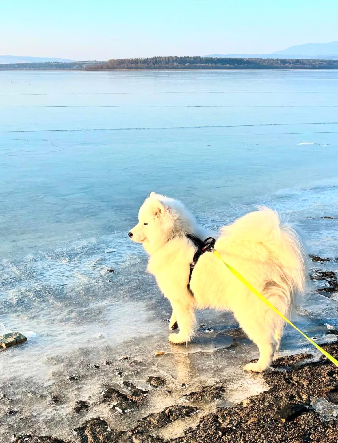 大自然这本书，耶耶又翻了一页 