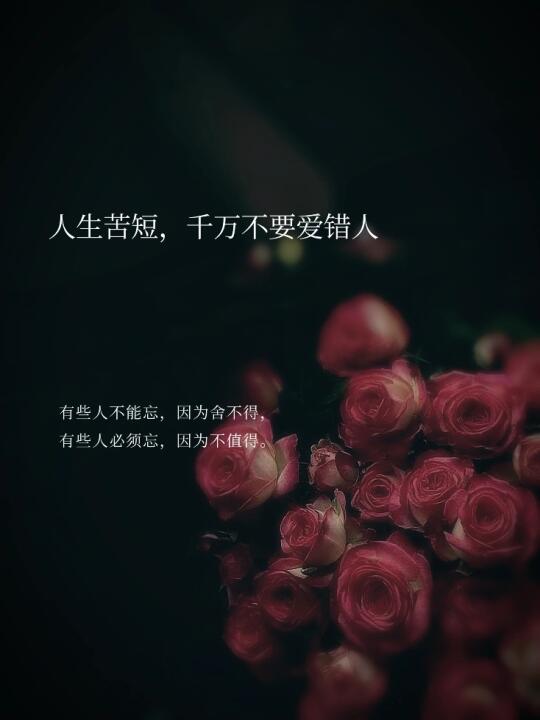 人生苦短，千万不要爱错人