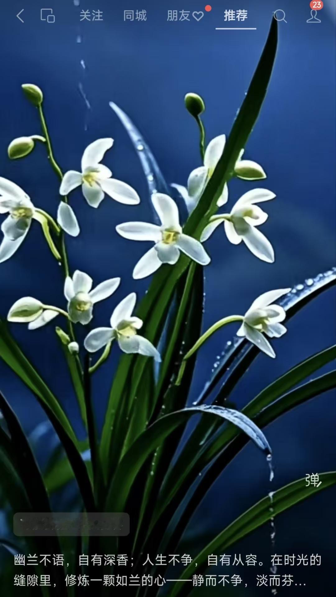 修心如兰
幽兰缄默蕴清芳，
处世无争自坦扬。
静守时光修素韵，
淡然心魄溢幽香。