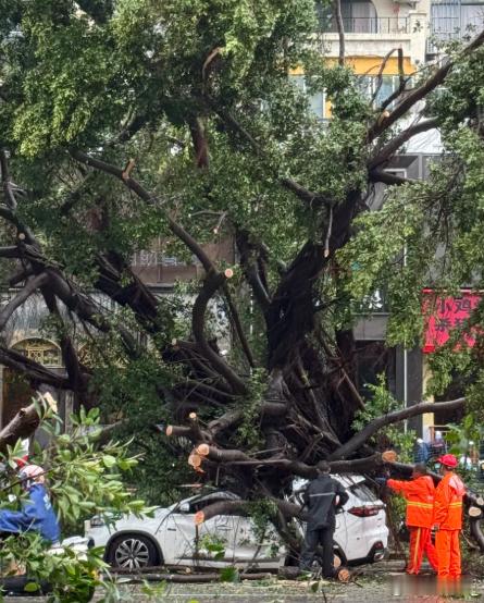 台风风神已进入我国南海 广东：比冷空气还先到的是台风 ​​​