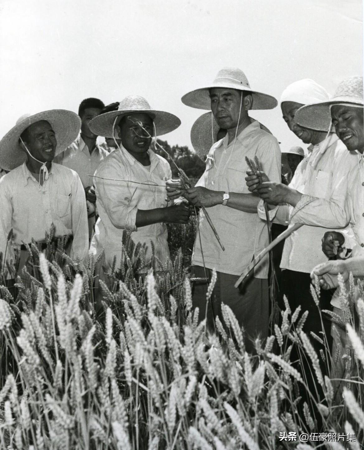 1959年6月2日上午，国务院总理周恩来在河北省委第一书记林铁、邯郸地委第一书记