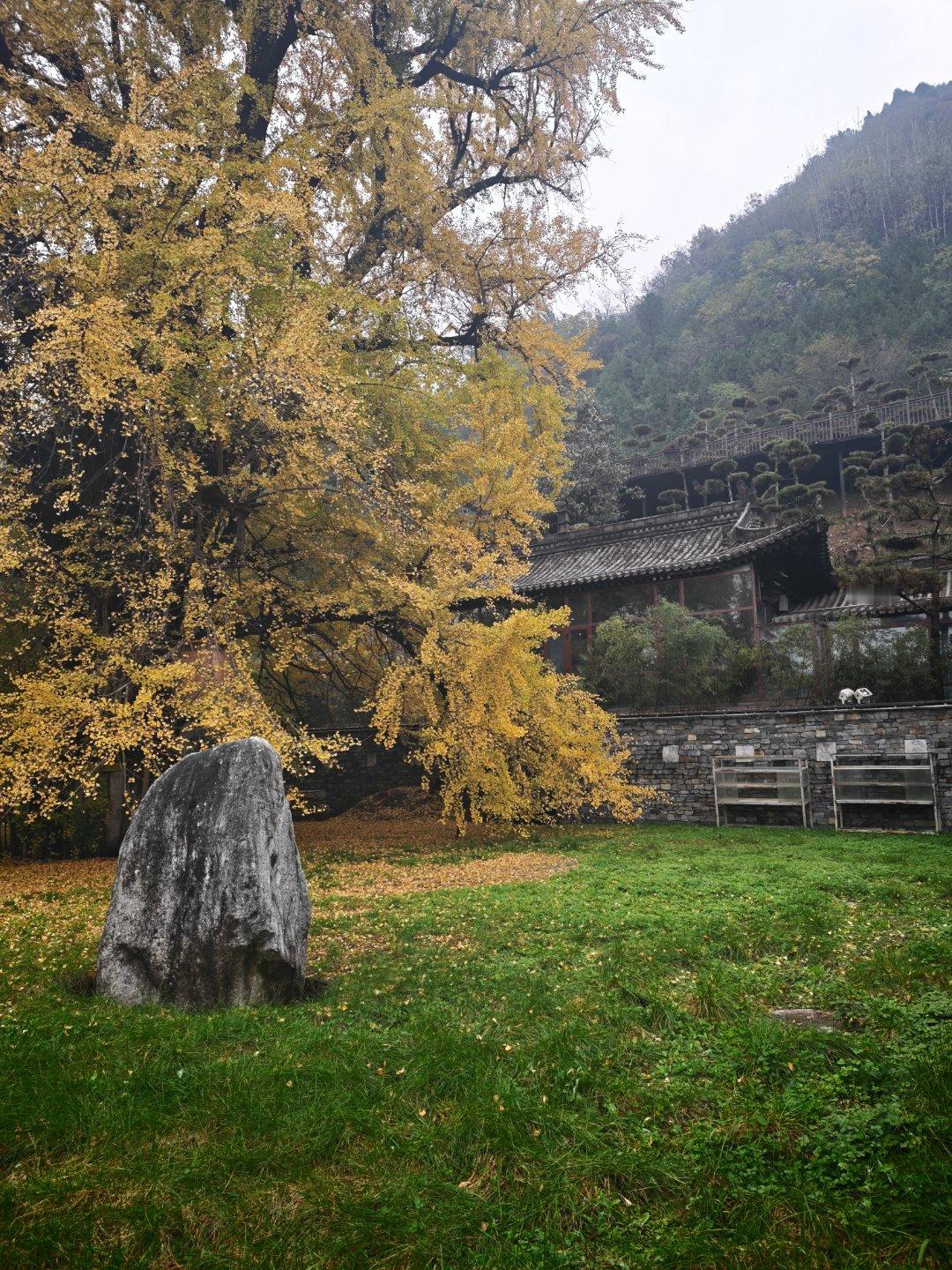 黑营销只对没有反抗能力的企业有效，黑了十几年都没用，别人越来越强，就没必要投入了