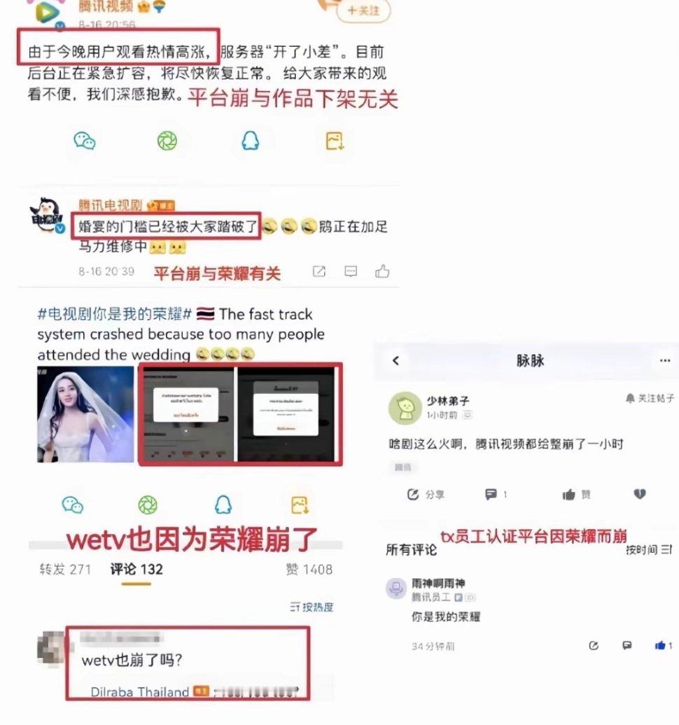 你的权威我无需多言👀 