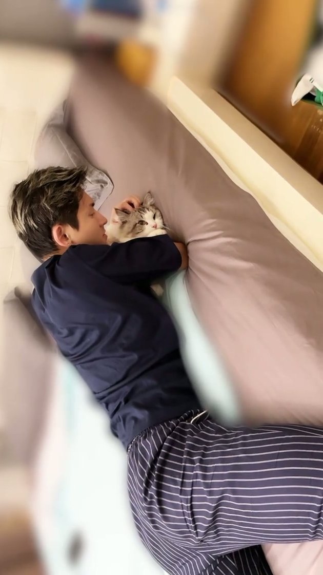 吸猫小诗: 早吸早轻松 早吸早舒服 谁吸谁知道啊 