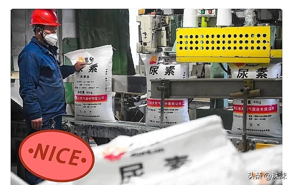 霍尔木兹海峡风波持续，最先起飞的是西北三省。

别只盯着东南亚，咱们西北的宁夏、