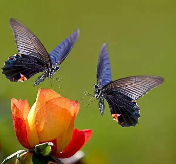 这份榜单在朋友圈刷屏了，它不是由什么权威机构发布的，而是由数百万个在深夜里崩溃过