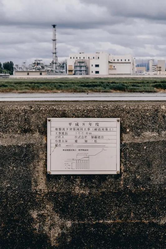 日本福岛核废区野猪变成“超级猪” 日本福岛核废区的野猪成了“超级猪”，这事太魔幻