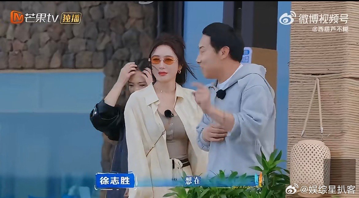 秦岚沈月徐志胜讨论如何背刺同事 “人前抱团，人后拆台”，三人把职场玩笑玩得又好笑