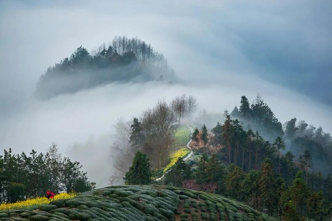 接待了一位C9 毕业的学生家长，但是他们家的孩子成绩差得很，用家长的话来说觉得这