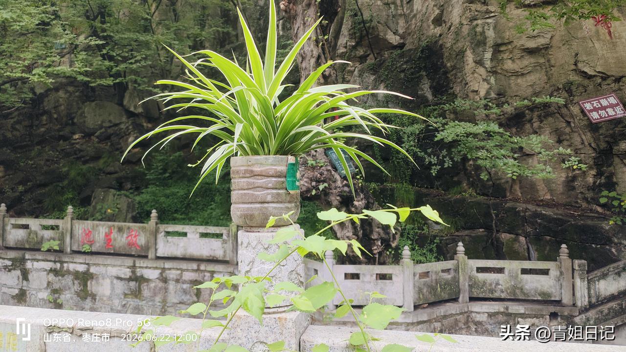 为了一场演唱会，奔赴一座陌生的城市，这大概是独属于年轻人的浪漫和疯狂吧。

有人