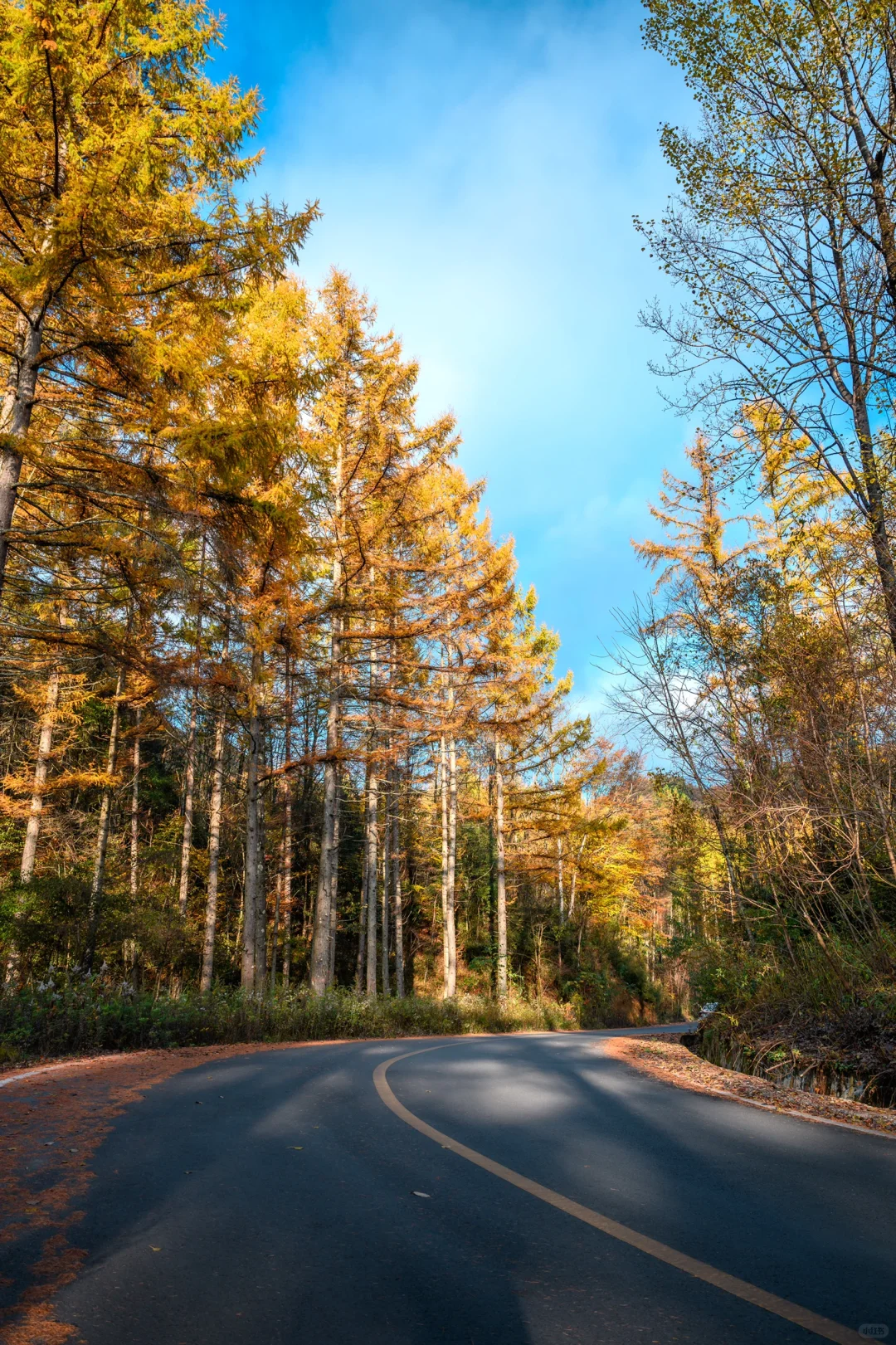 秋天的光雾山，真的杀疯了‼️美哭～