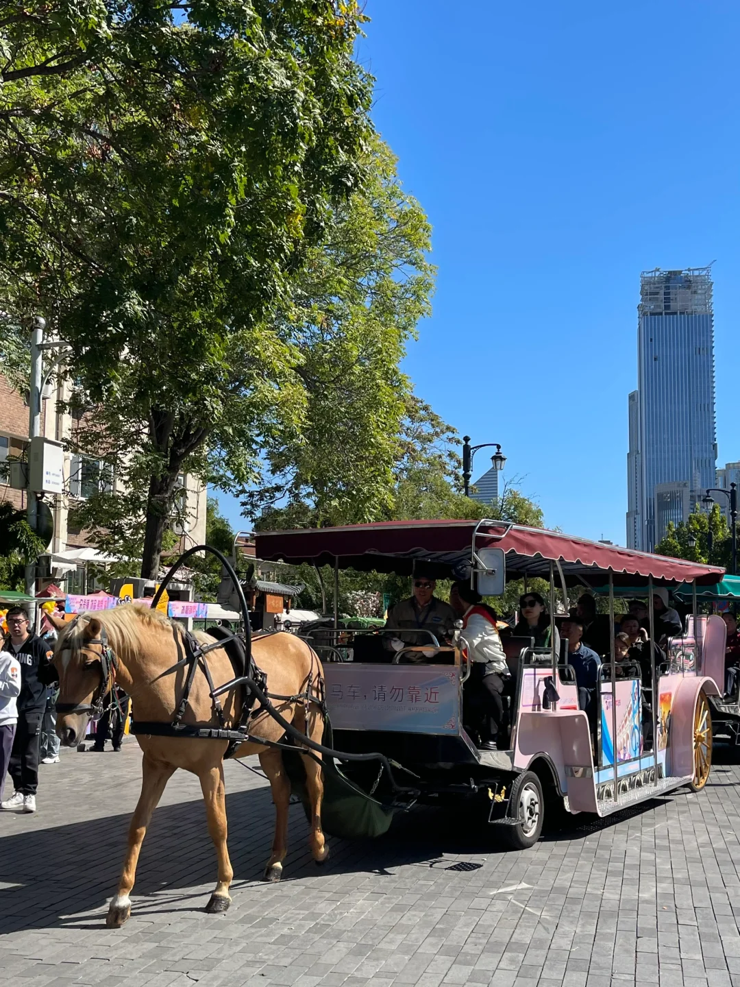 国庆节！天津民园游玩指南🎫