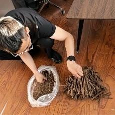 挖一株都违法！内蒙古一牧民私自采挖184株，警察直接逮了个正着

药材还没捂热，