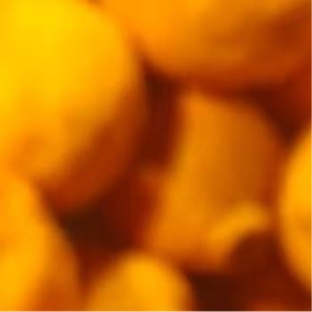 秦彻 可是我觉得很神圣啊