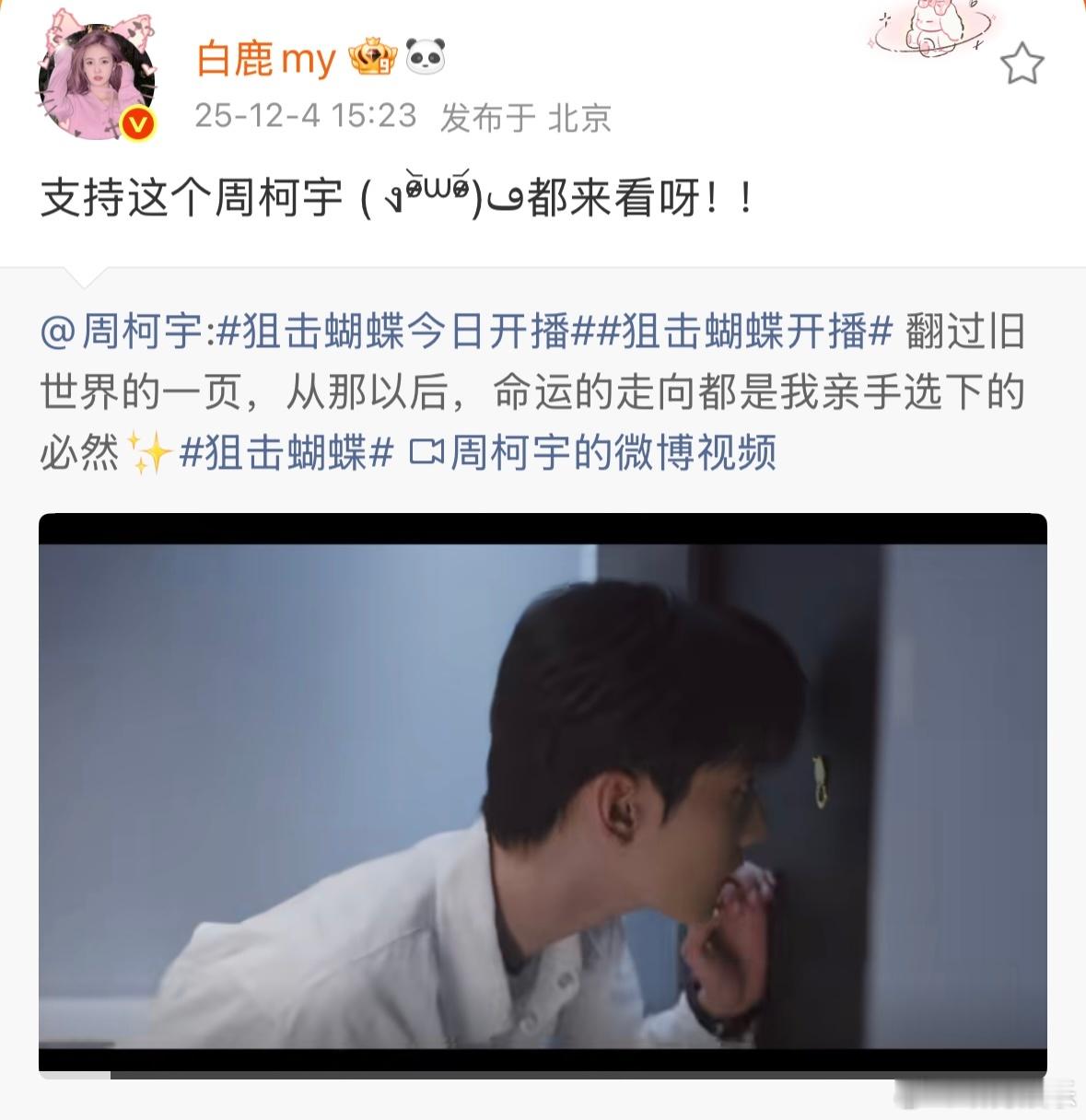 周柯宇白鹿友谊 白鹿宣传周柯宇新剧《狙击蝴蝶》：“支持这个周柯宇 ，都来看呀！”