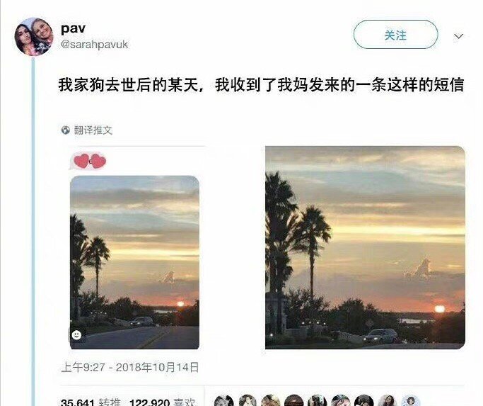 一个外国网友的狗死了...然后看到天上有这样的云~ ​​​