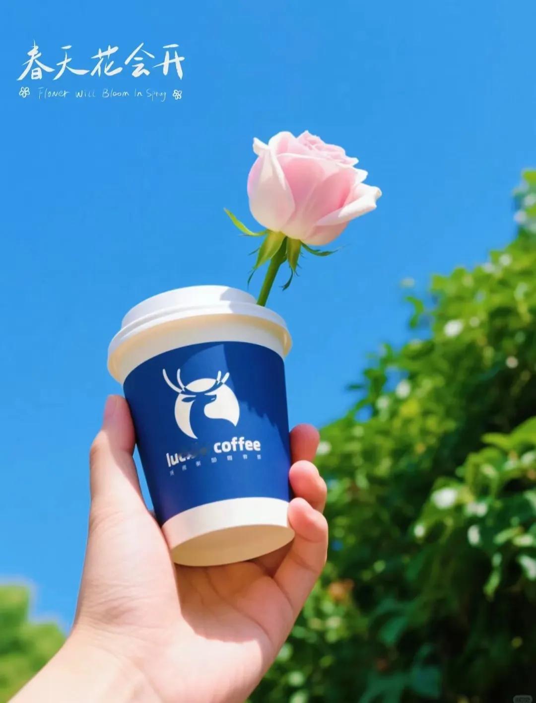 ²⁰²⁵/₀₄.₂₇ᵕ̈ 💐
花开晨起，
启程新的一天，
做你热爱的事，
把前