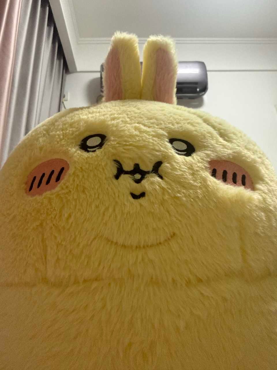 蹭空调从不A钱之猪
