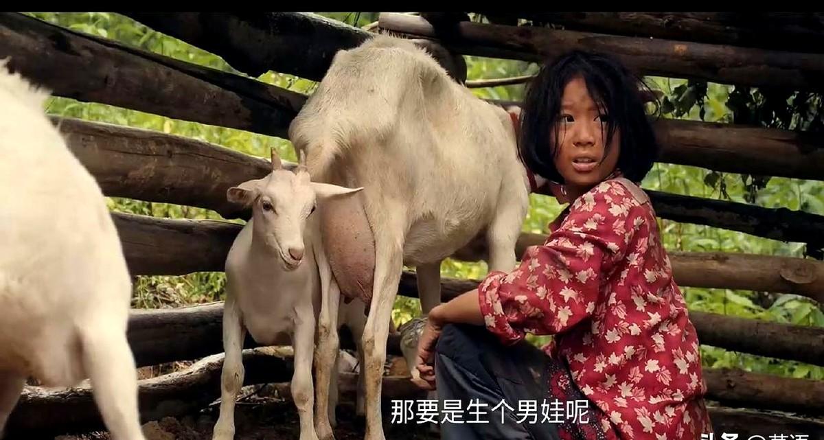 “你要是考不上，就别回来了！”

父亲一句话，把九岩沟放羊的易青娥推进了县城剧团