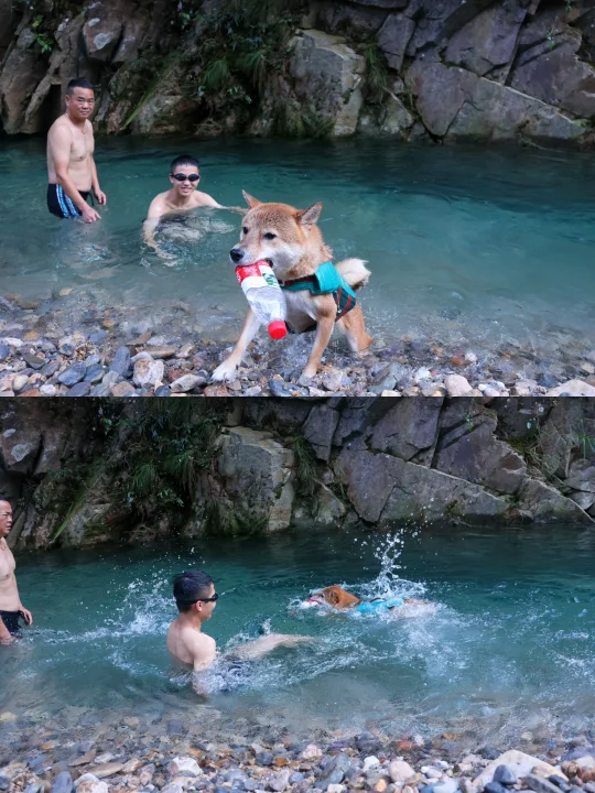 和家人岩溪玩水的一天👩‍👩‍👧‍👦