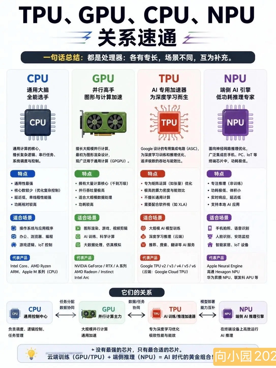 还在分不清CPU、GPU、TPU、NPU？看完下面这张图，再也不懵！CPU是通用
