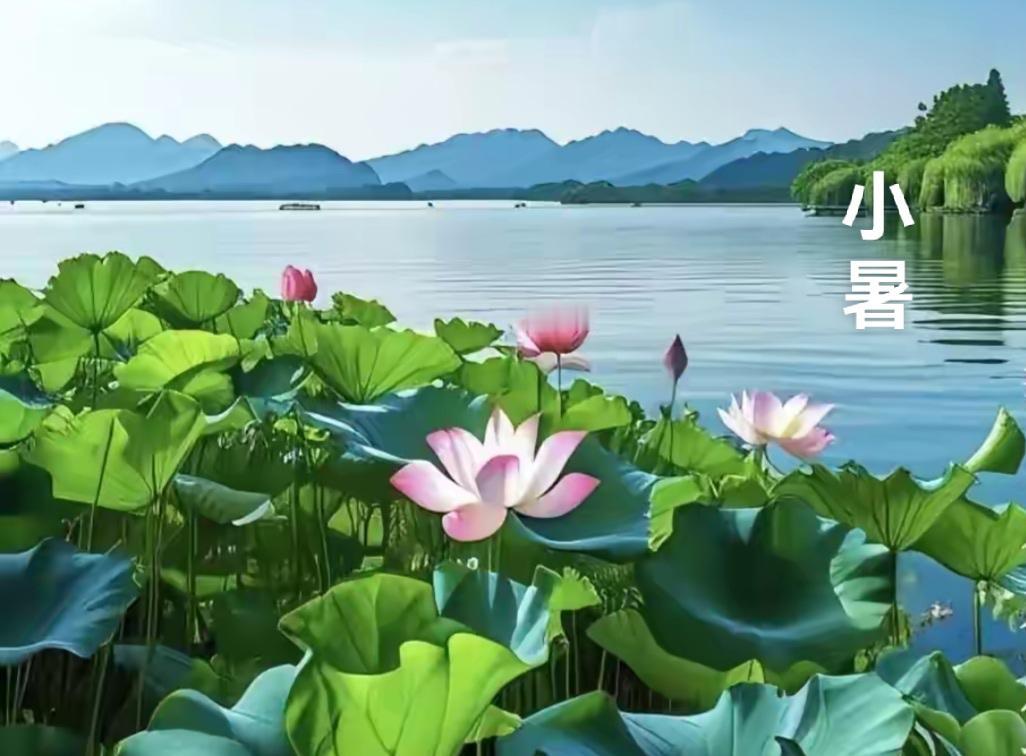 七律·小暑

盛夏来时暑意浓，凉风一去影无踪。
荷花沐雨娇千态，晨霭栖霞景万重。