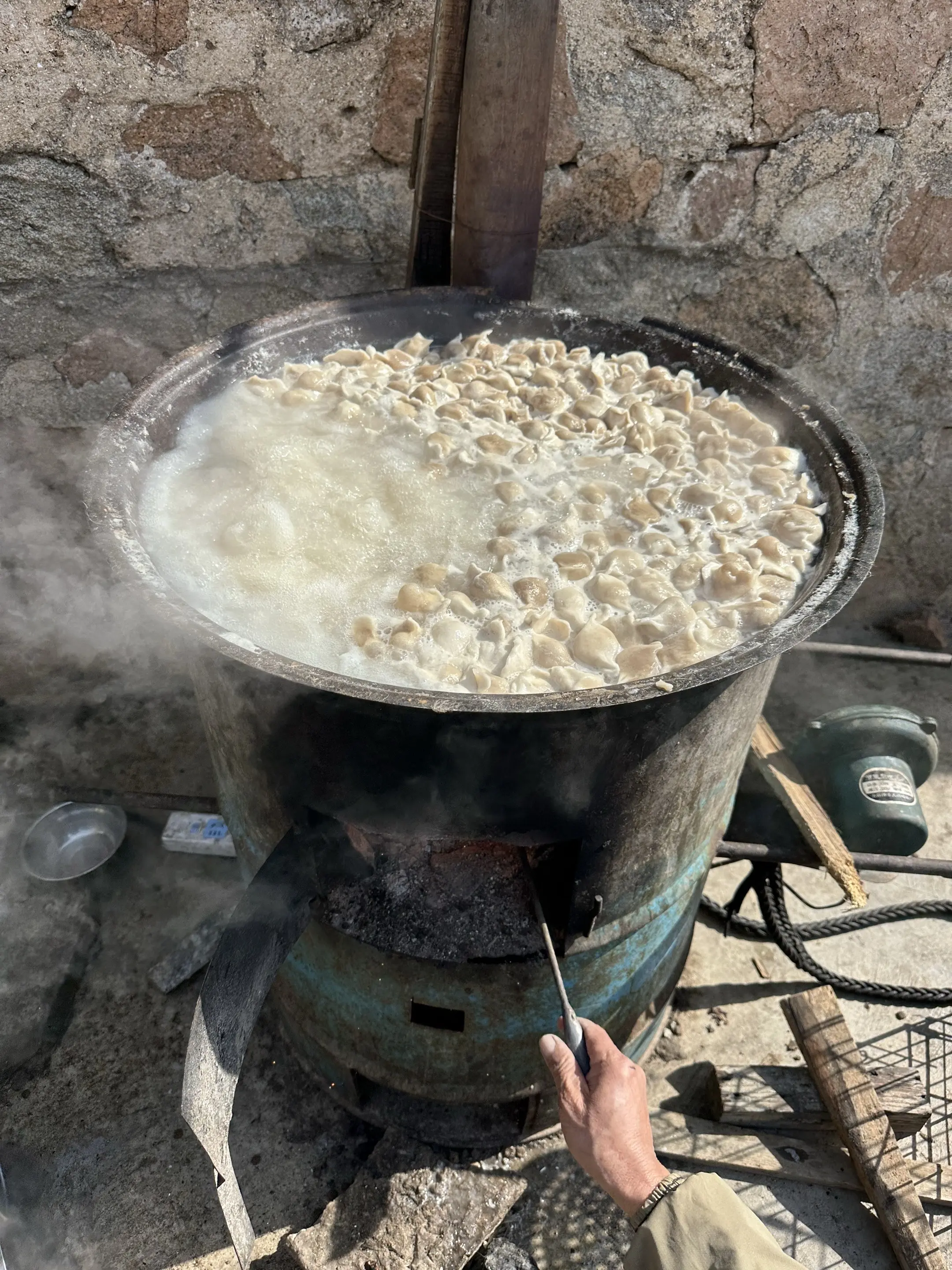 流浪狗吃饺子不过份吧，为啥🈶那么多阴阳怪气的人。救助流浪狗