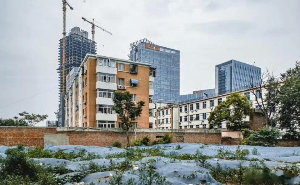 A股市场连续调整之际，近日国内政策面连发重要利好，以稳定市场信心。一是住建部在国