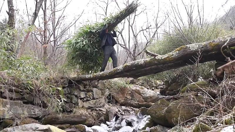 我可不敢独自一人去深山游玩。就说河南22岁的程梦圆，她是地理专业应届生，还有两次