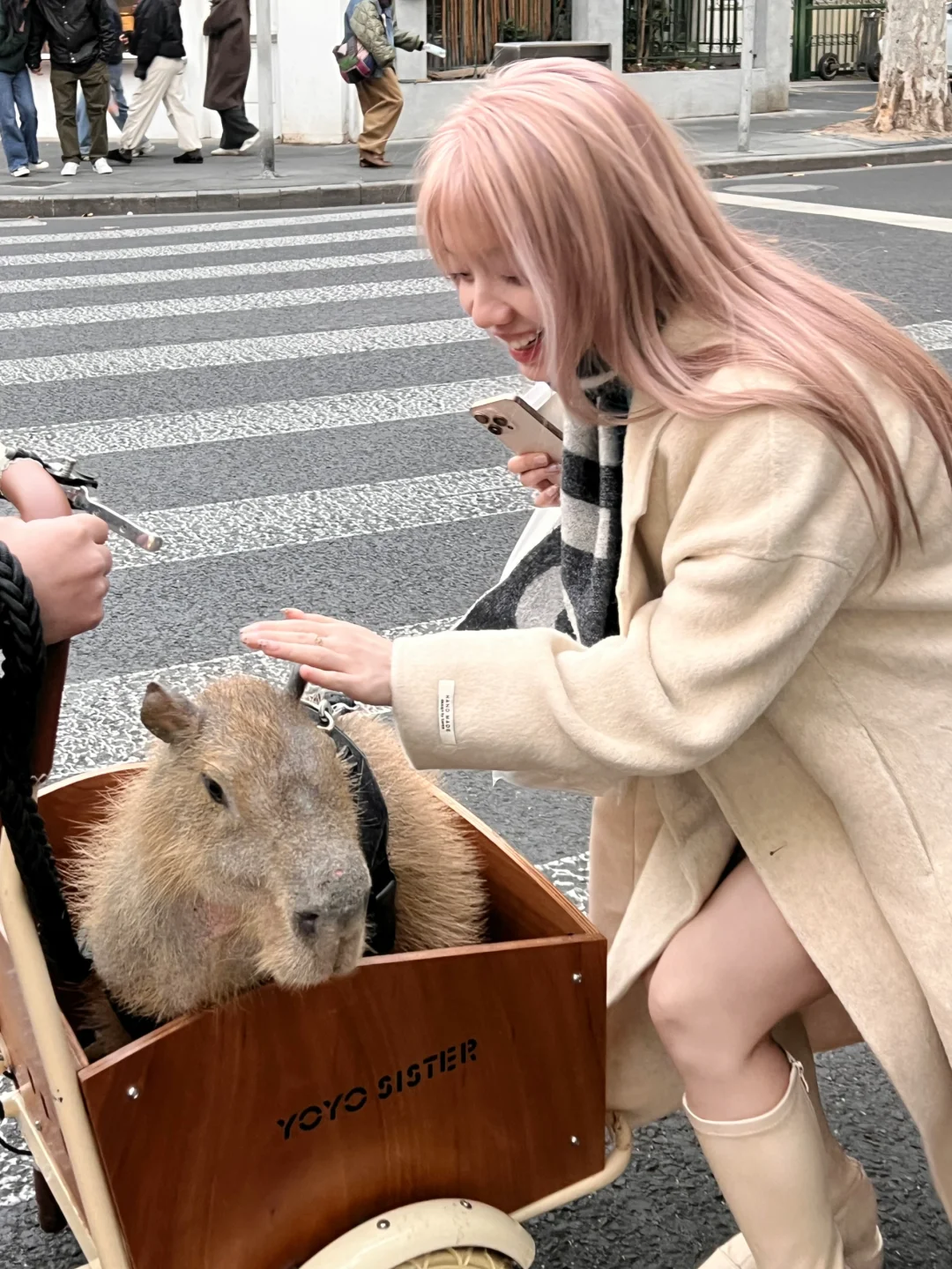 上海安福路上都有人溜这个了？？？🦦