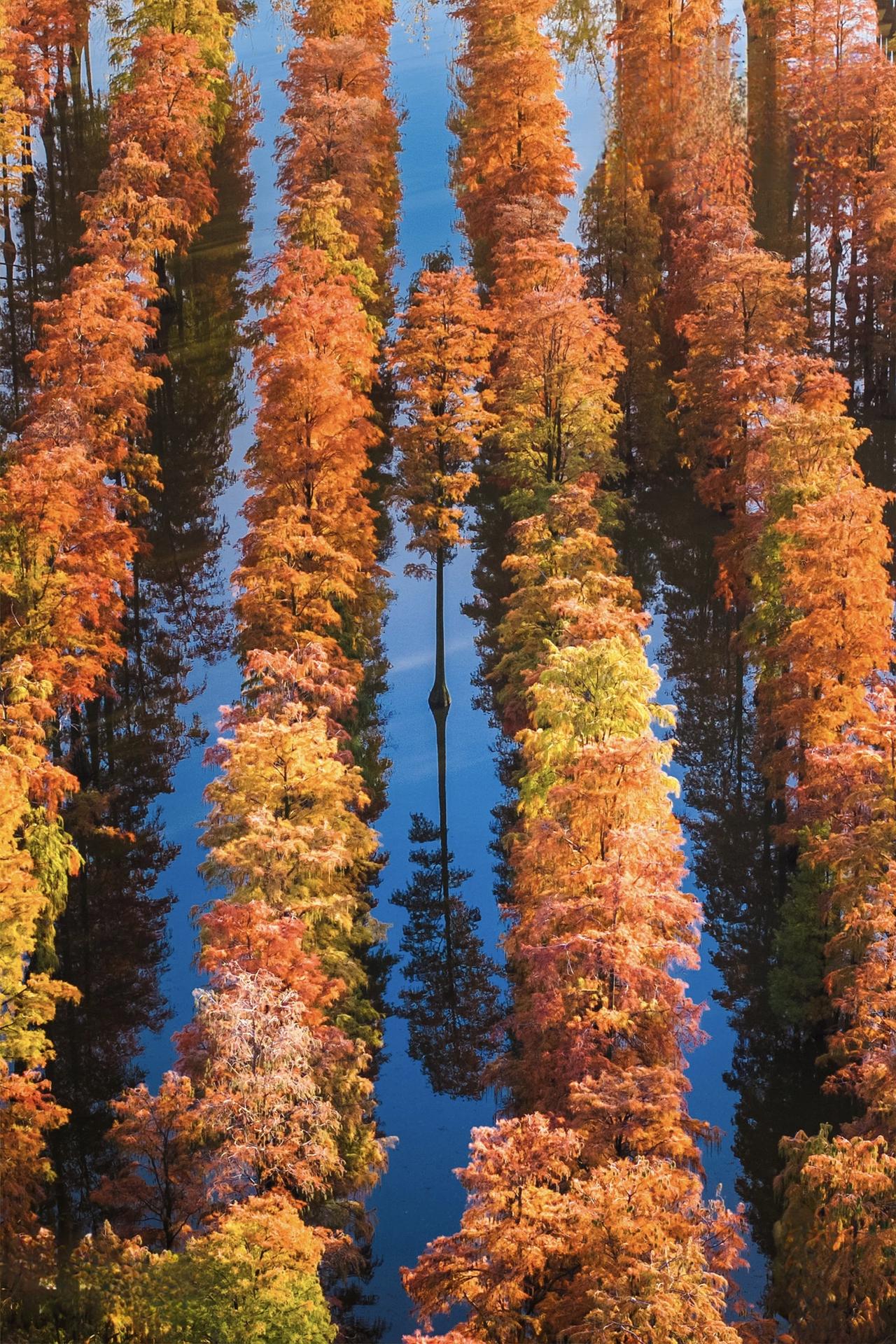 【有些人，你以为一直都会在，有些情，你以为一直可以续，也许一个转身之后，人就再也