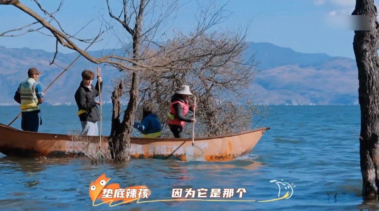 大理的浪漫藏着打捞队的温柔 大理的浪漫，藏在苍山的巍峨里，藏在洱海的温柔里，更藏