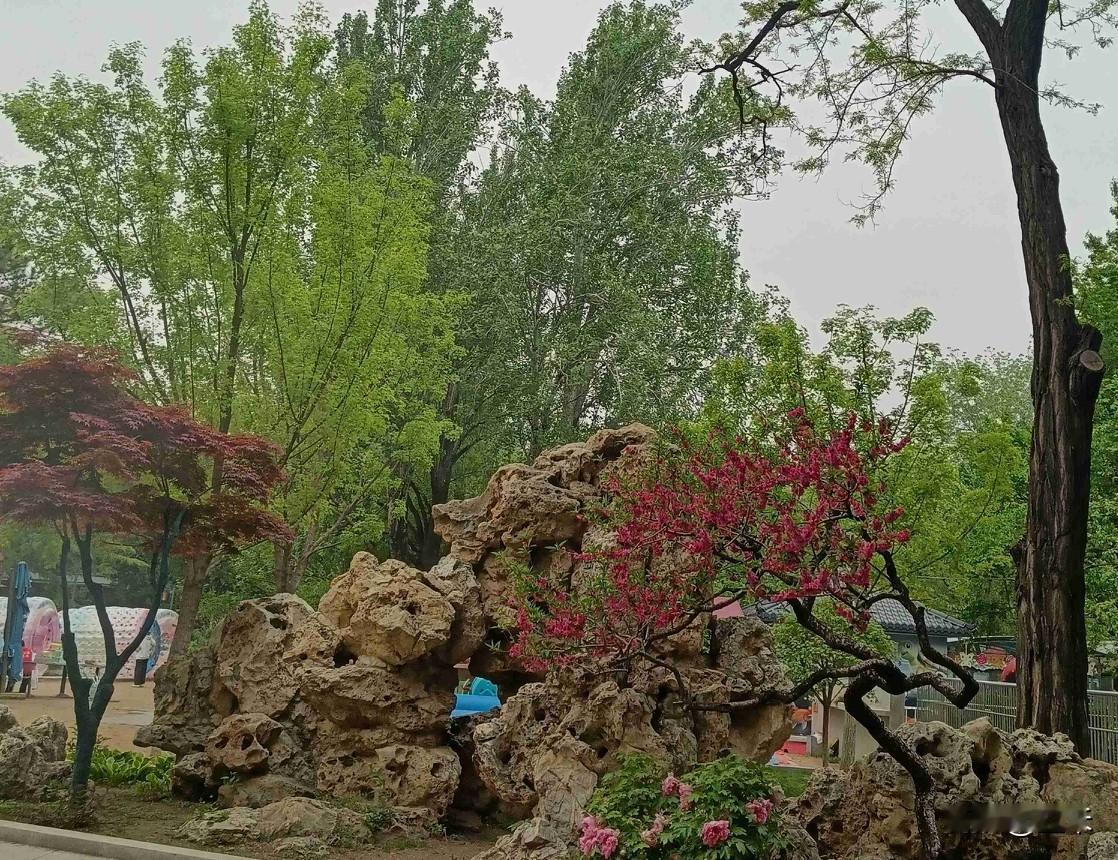今天是4月30日，星期四，我们这里是晴天，最高气温零上22度，最低气温零上8度，