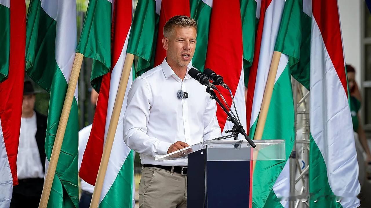 🇭🇺 马扎尔（Magyar）指责欧尔班政府在移民问题上撒谎。

他声称，尽管