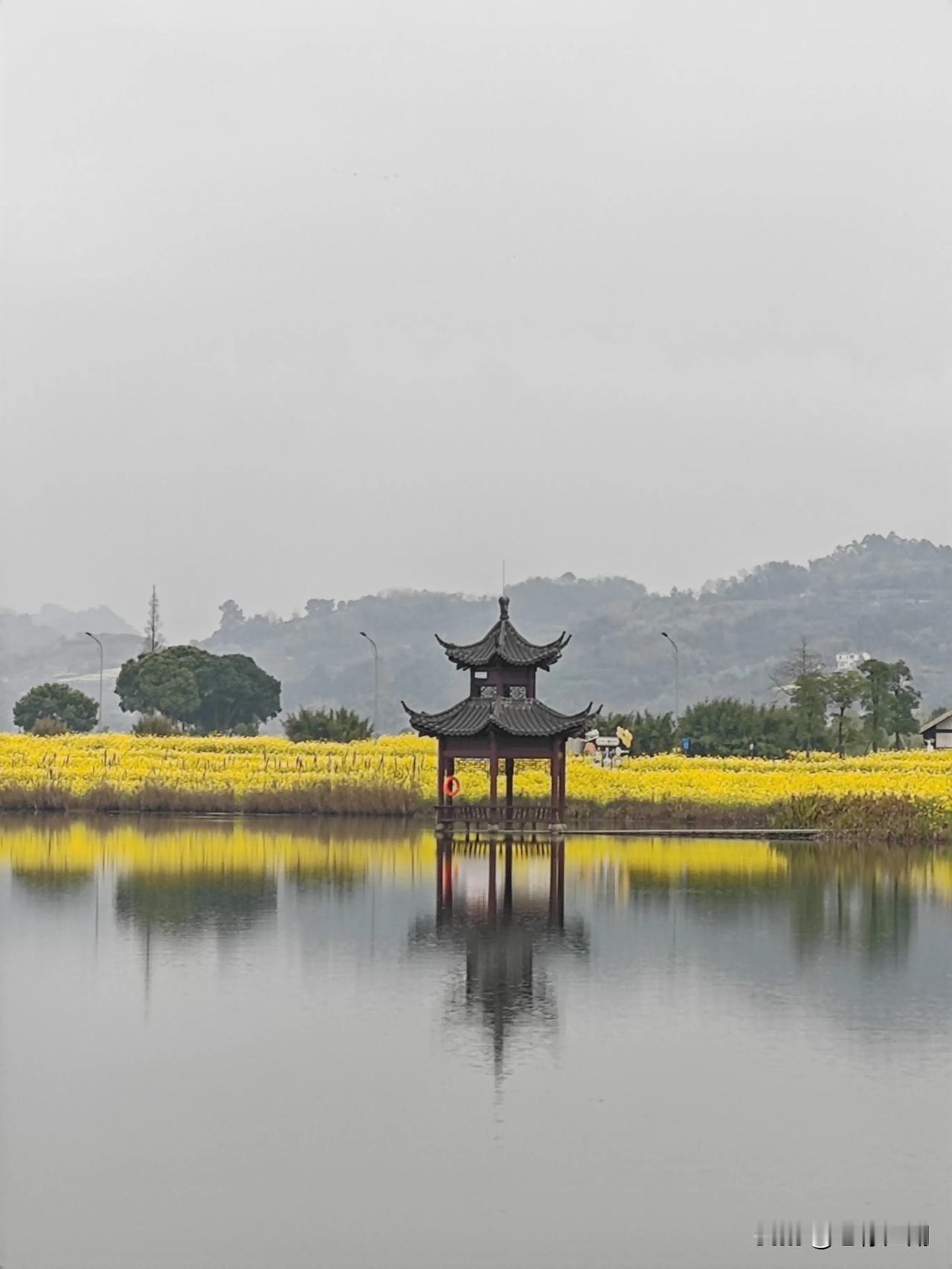 春天来了，你准备好迎接这片绝美的水墨丹青了吗？

       春天来了，油菜花