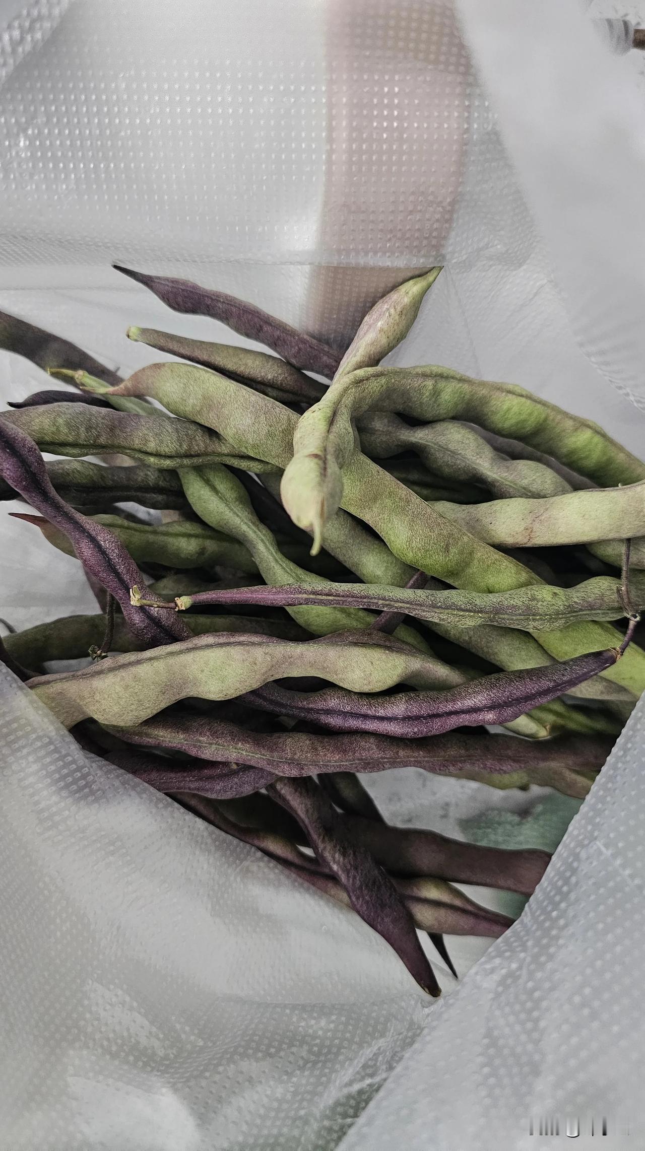今早又去买了点菜，感觉最近菜好像偏贵了，四季豆，茄子，南瓜都是3块/斤，说便宜点